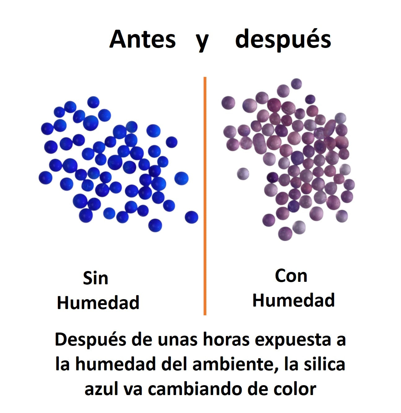Silica Gel Color Azul Bolsa de 100g Cambia de Color
