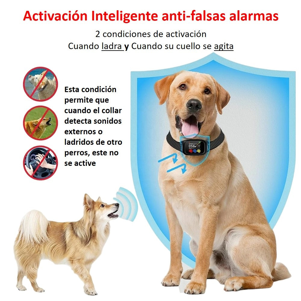Collar de Entrenamiento LCD Perros Recargable B630 Plus
