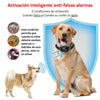Collar de Entrenamiento LCD Perros Recargable B630 Plus