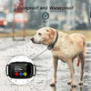 Collar de Entrenamiento LCD Perros Recargable B630 Plus