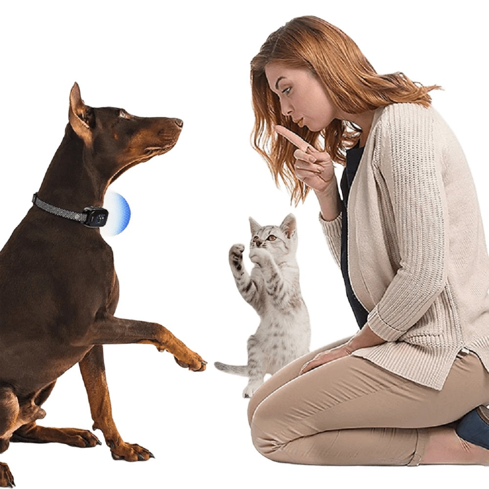 Collar Antiladridos Inteligente Recargable Resistente TZ-981