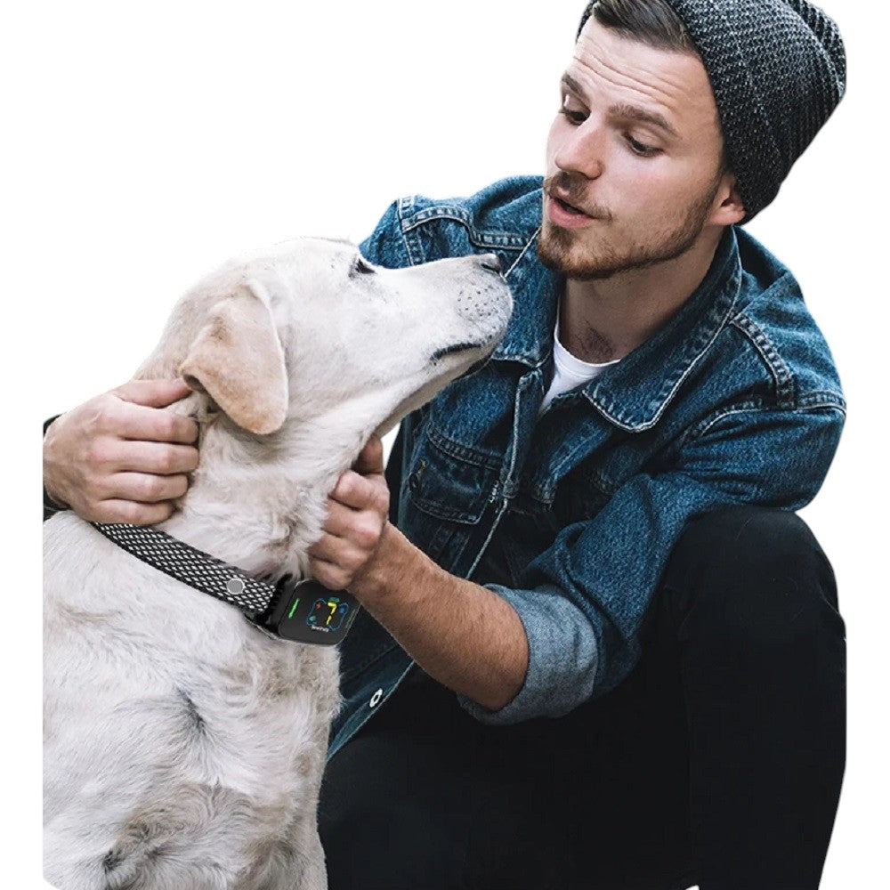 Collar Antiladridos Inteligente Recargable Resistente TZ-981